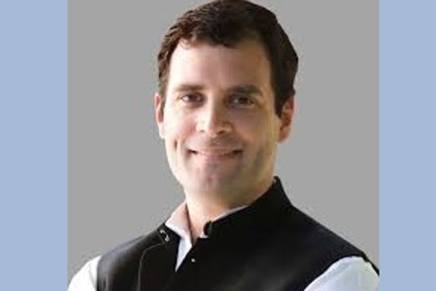 राहुल के केजी से पीजी तक की मुफ्त शिक्षा के वादे पर रमन ने कसा तंज