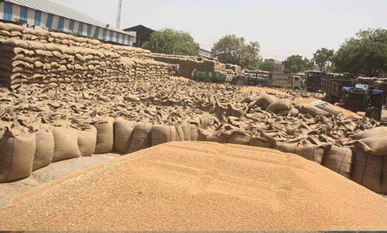 MP में रिकॉर्ड गेहूं खरीदी! 13.36 लाख किसानों से 103 लाख मीट्रिक टन उपार्जन