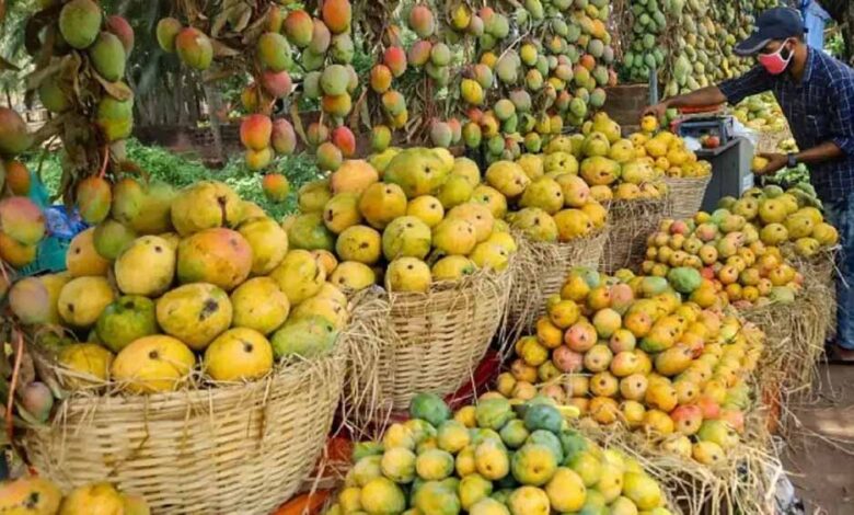जापान-में-बैन-के-बाद-सिंगापुर-में-भारतीय-आमों-की-भारी-डिमांड,-सुपरमार्केट-से-मिनटों-में-हो-रहे-गायब