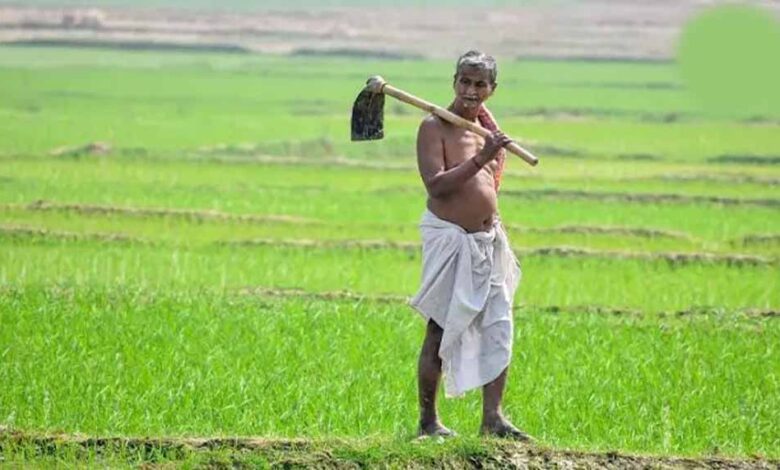 दीनदयाल-भूमिहीन-कृषि-मजदूर-कल्याण-योजना-में-पात्र-परिवारों-को-मिलेगी-₹10-हजार-की-सहायता