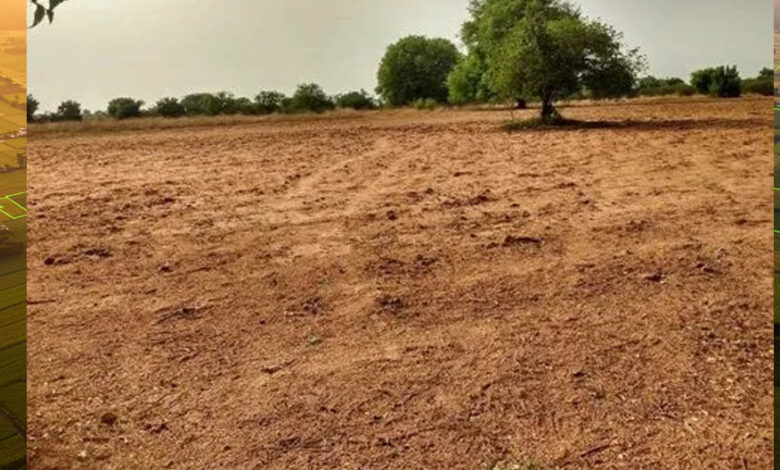 देश के बड़े शहरों में खत्म हो रही जमीन, बढ़ती आबादी के बीच कहां रहेंगे लोग?