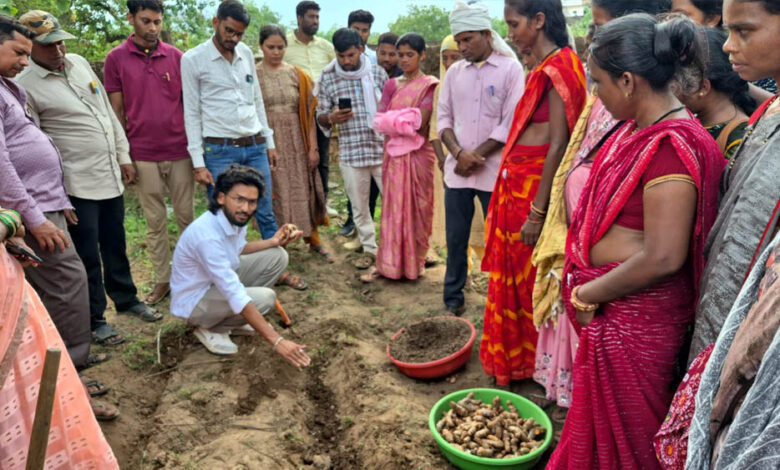 ​धमतरी-का-‘नगरी’-बनेगा-हल्दी-उत्पादन-का-नया-हब:-250-किसानों-ने-थामा-वैज्ञानिक-खेती-का-हाथ,-250-टन-पैदावार-का-लक्ष्य
